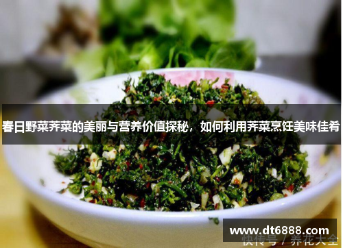 春日野菜荠菜的美丽与营养价值探秘,如何利用荠菜烹饪美味佳肴