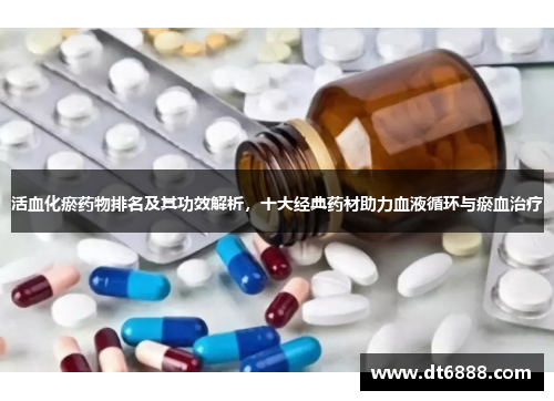 活血化瘀药物排名及其功效解析,十大经典药材助力血液循环与瘀血治疗